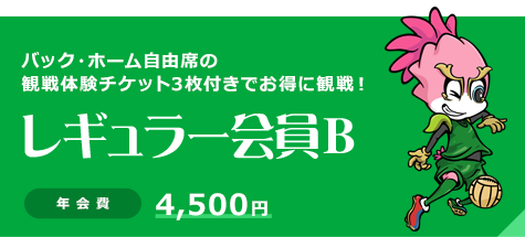レギュラー会員B