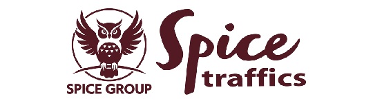 株式会社スパイストラフィックス